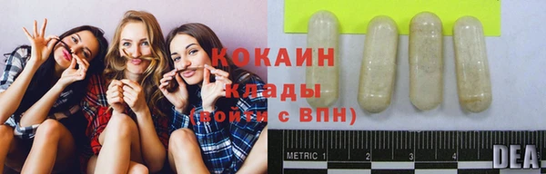 mdpv Горно-Алтайск