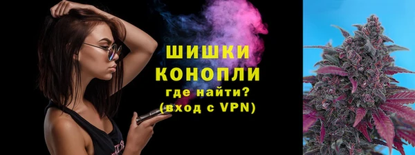 mdpv Горно-Алтайск