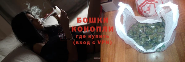 твердый Горняк