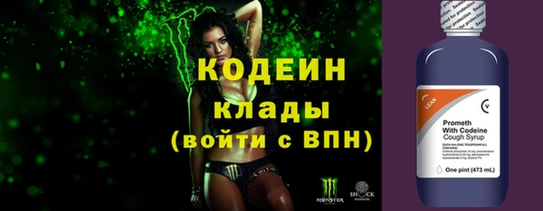 твердый Горняк