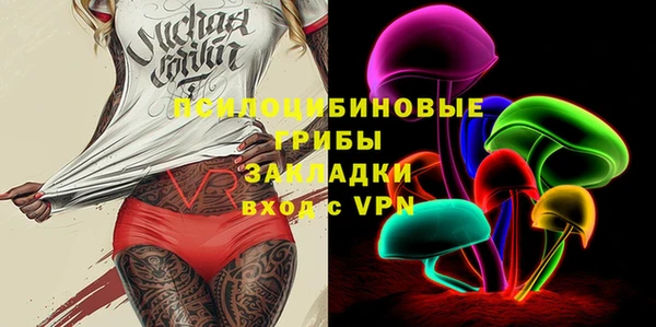 твердый Горняк