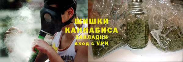 твердый Горняк