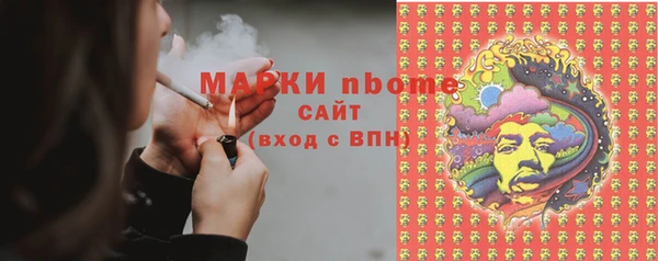 твердый Горняк